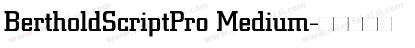 BertholdScriptPro Medium字体转换